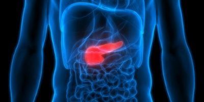 gallbladder gallbladder