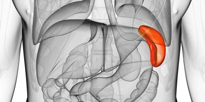 spleen disorder spleen disorder